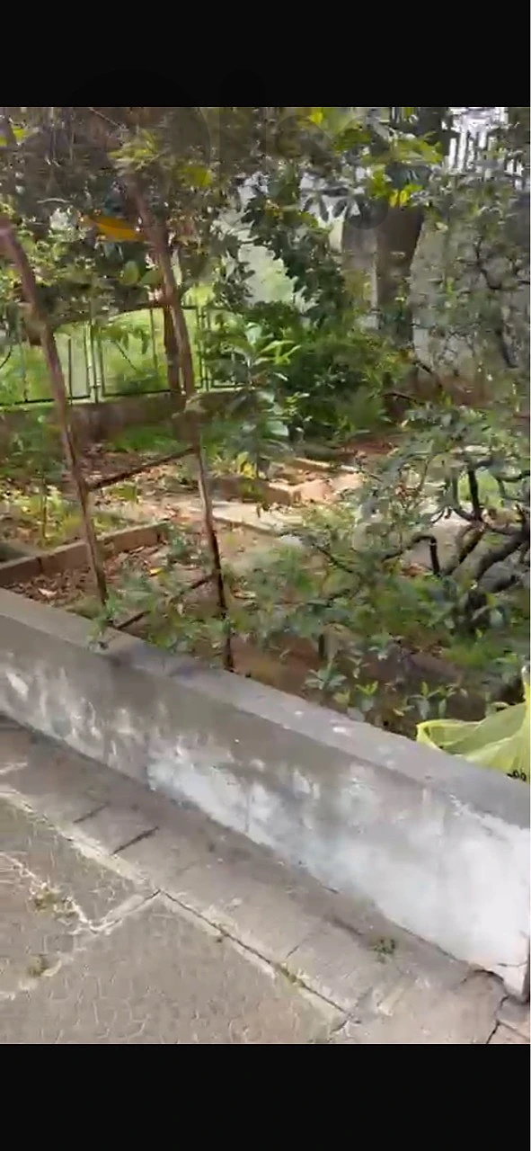 260m 3Bedroom+ 260 Terrace+ Parking Hazmieh Mar Takla Backyard thumbnail 12