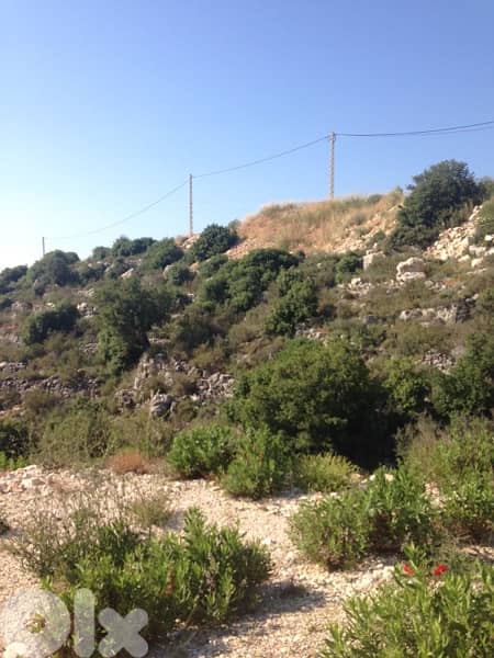 1540m Land zone 25/50 Sea View Eddeh Batroun 5 mins highway thumbnail 6