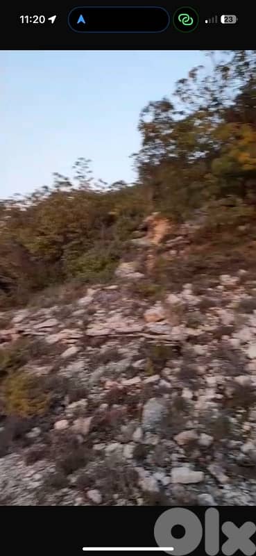 6800m Land Agriculture 5% one floor construct Boutme Chouf Mokhtara thumbnail 4
