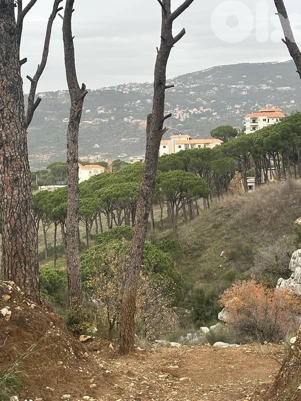 Two lands 850m&950m zone 30/90 four floor building Badghan Sawfar thumbnail 2