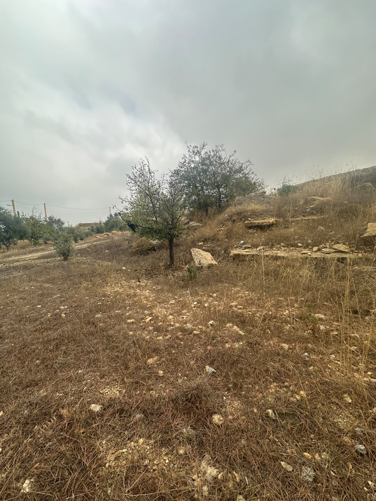 Beautiful 940 meters land top hill Mansourieh Bhamdoun Ain Marj and Btalloun vs Btater thumbnail 7