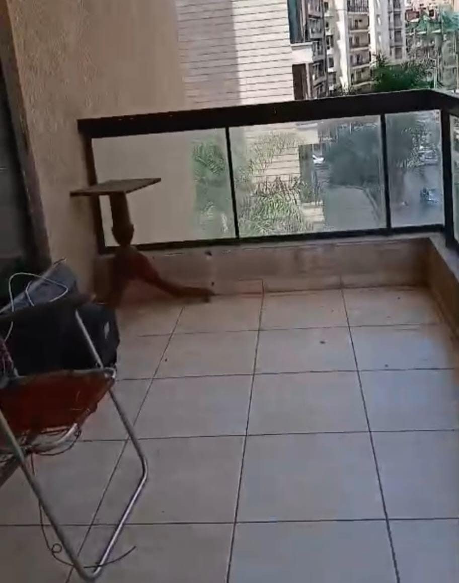 Apartment for Sale – Beirut | Australia Street thumbnail 5