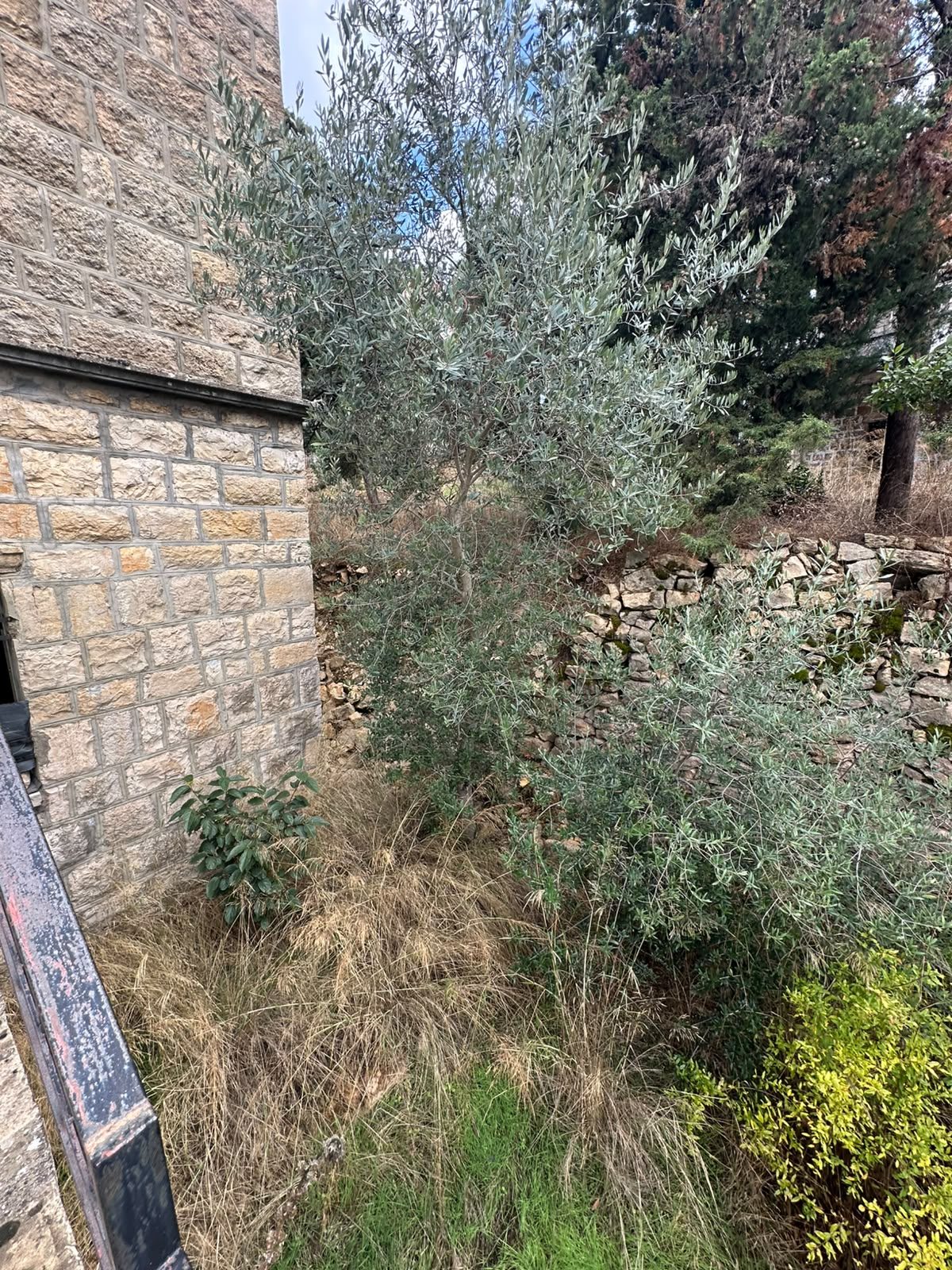 Two floors 300 meters Lebanese Vintage on 530 meters land Bhamdoun Mhatta Jabal thumbnail 7